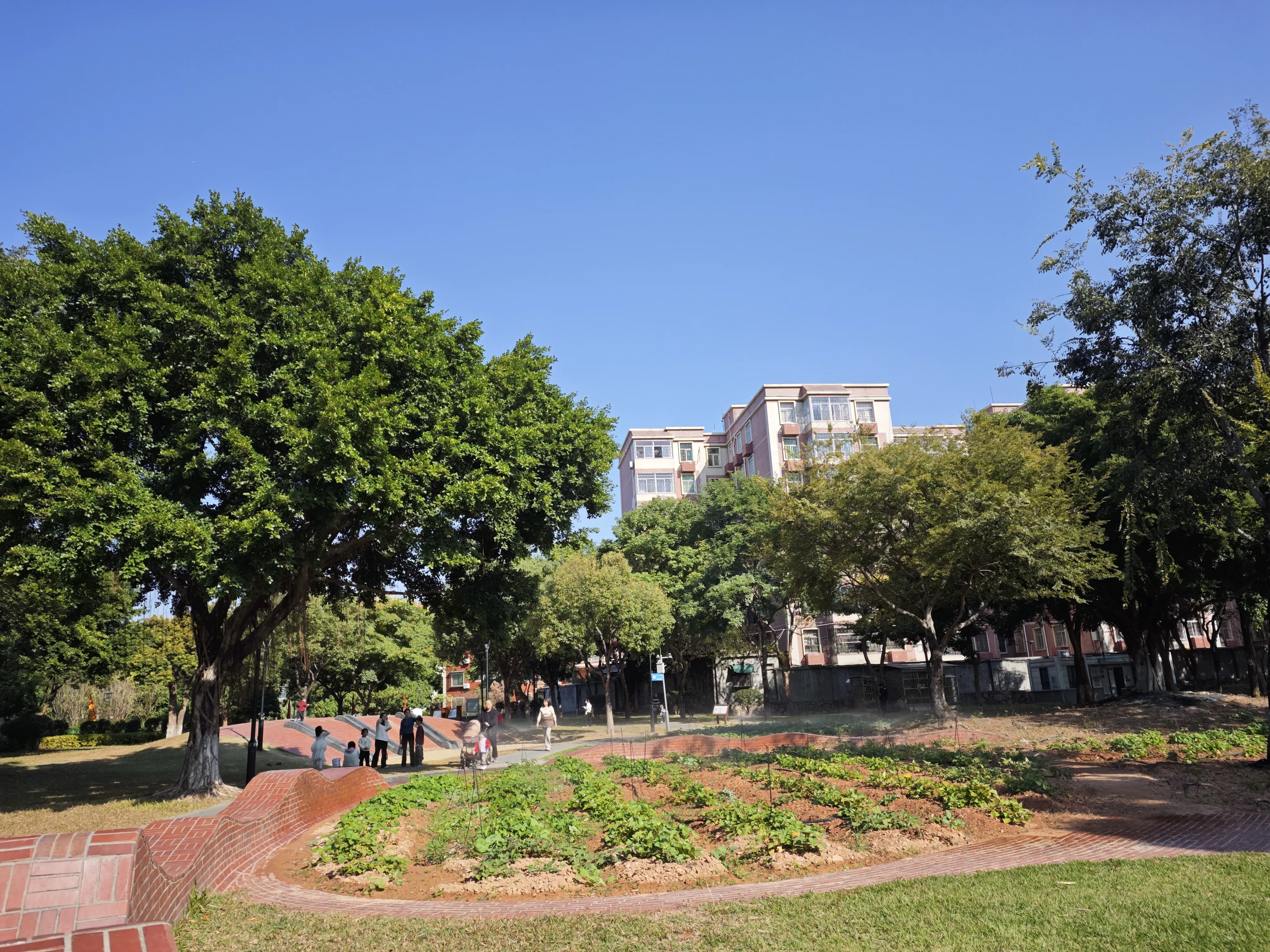 公园里的庄稼地